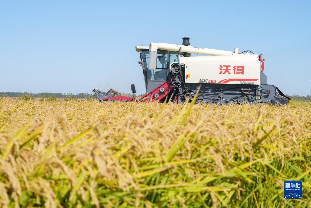 亚洲赌钱网排名